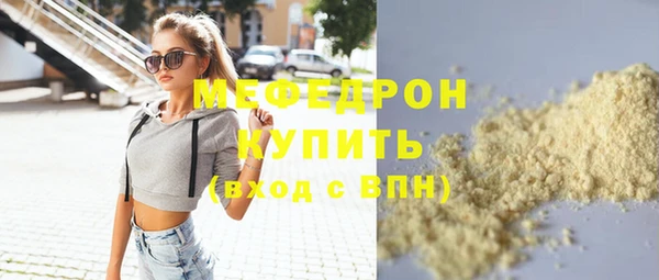 индика Богданович